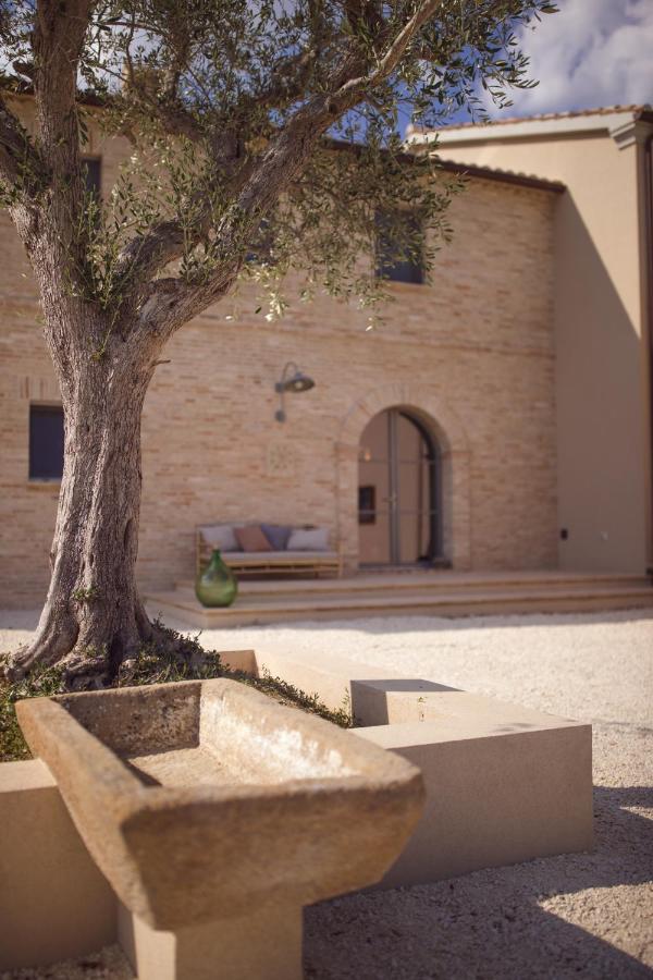Casale Tre Gelsi Bed & Breakfast ชินโกลิ ภายนอก รูปภาพ