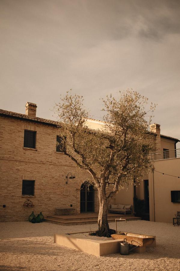 Casale Tre Gelsi Bed & Breakfast ชินโกลิ ภายนอก รูปภาพ